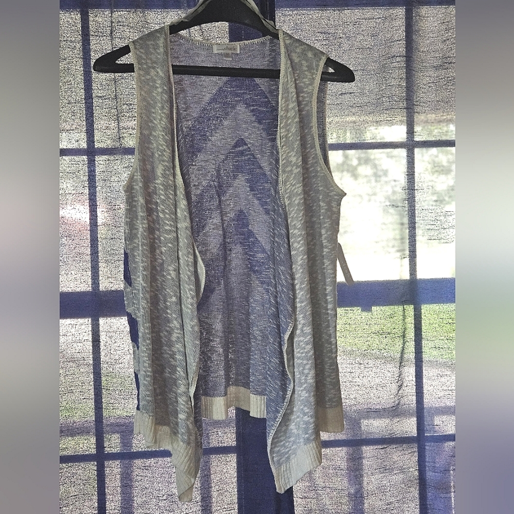 Charming Charlie Blue Vest